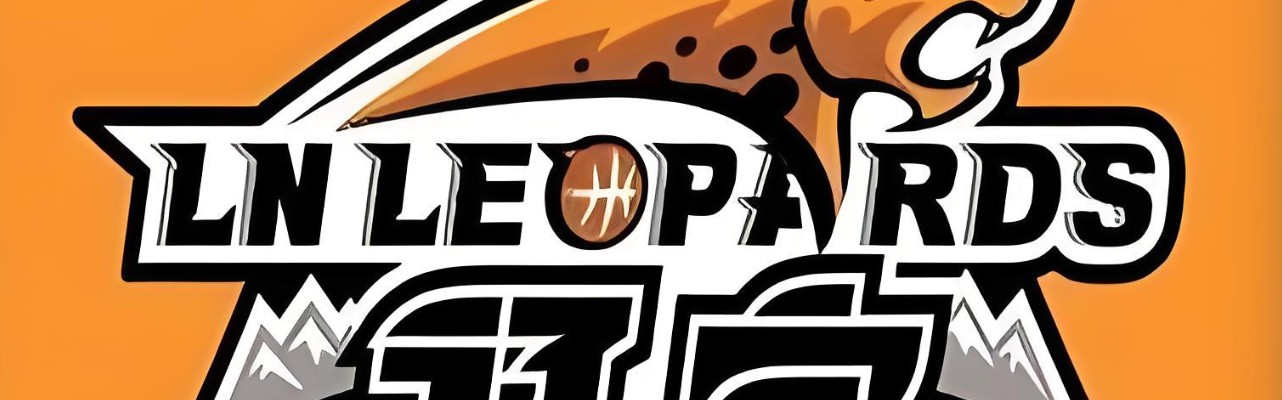 开云-辽宁队管理层：球队没有出售的计划，目前正在寻求新的赞助商